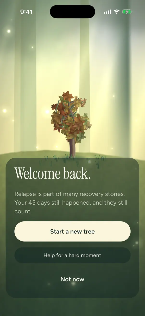 The relapse flow, which opens gently and offers a next step