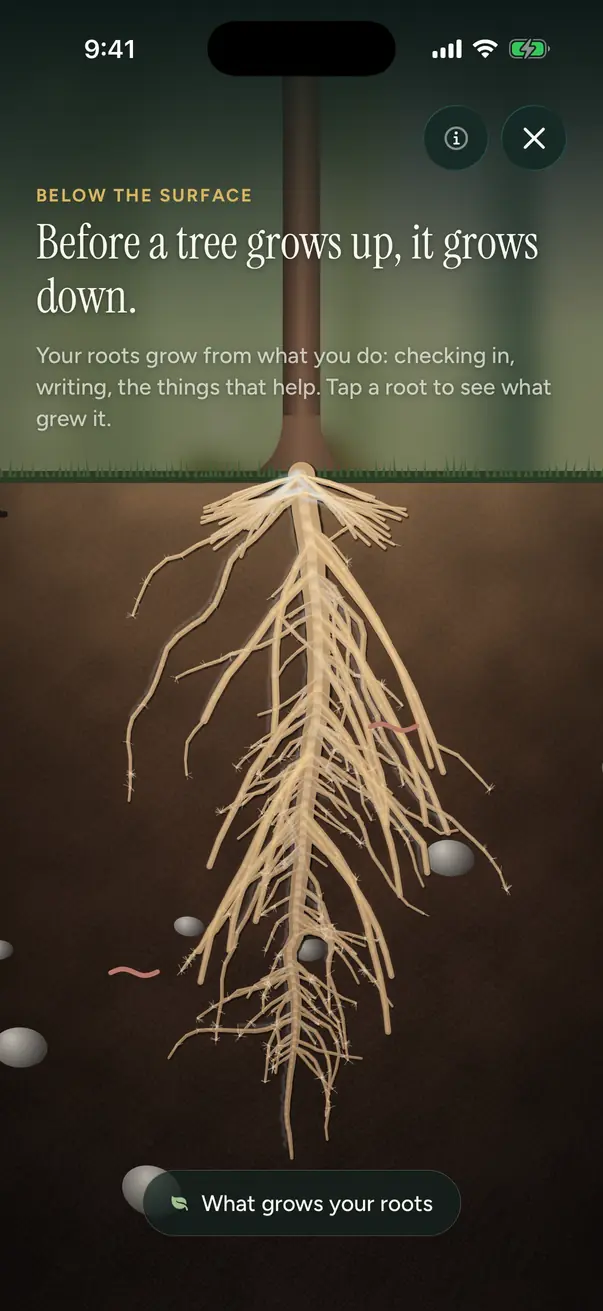 The roots below the tree, with a legend naming what grew each kind
