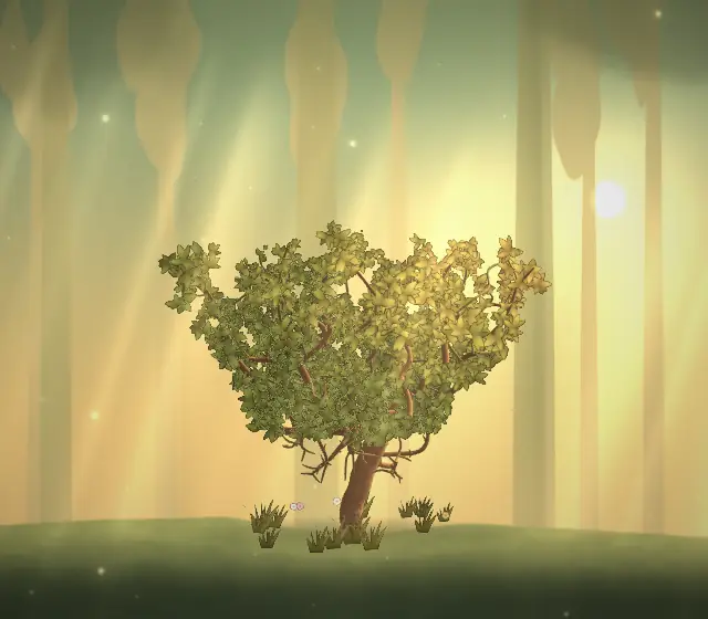 The tree at five years