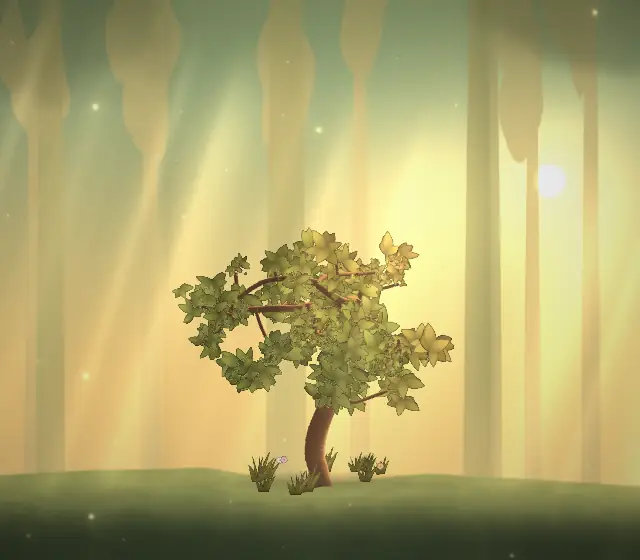 The tree at three months